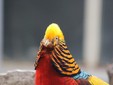 Zoo Targu Mures