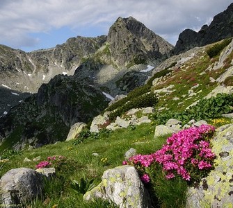 National Park Retezat