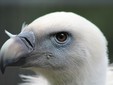 Zoo Targu Mures