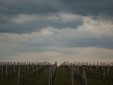 La Cantina Adamclisi Vinfranca