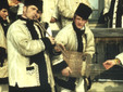 Cerbuțul