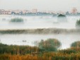 Văcărești Natural Park , Bucharest