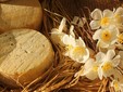 Burduf Cheese - Cățean Farm, Rotbav