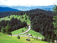 Bucovina