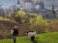 Biertan - an UNESCO village in Transylvania