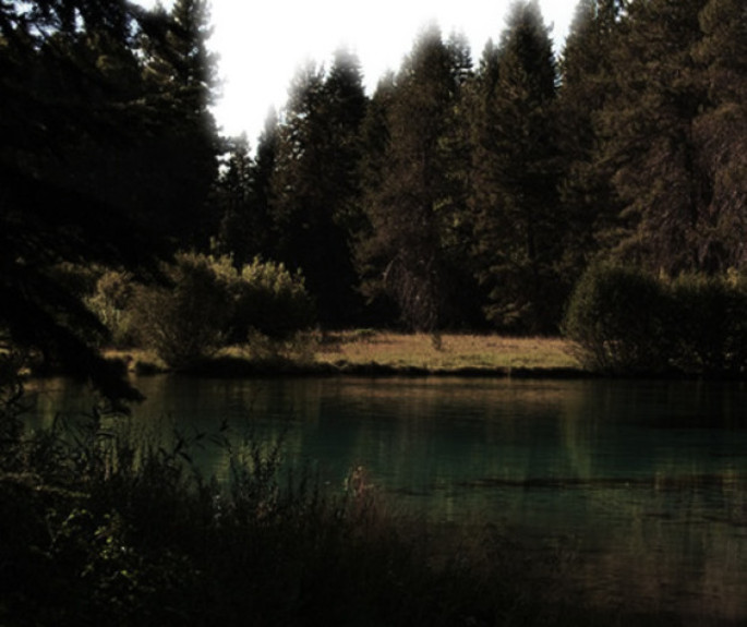 Lo Stagno delle Streghe - foresta Boldu