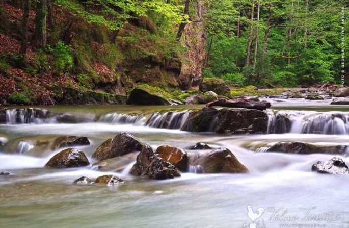 The Spa of Olanesti