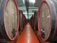 Jidvei Wine Cellar - Transylvania