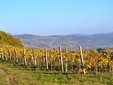 La cantina di Lechburg, Transilvania