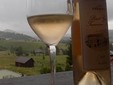 Teodor Wine Cellar - Transylvania