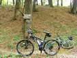 Cyclotourism on &quot;The Hills of Transylvania&quot;