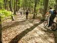 Le colline della Transilvania - destinazioni di ecoturismo della Romania