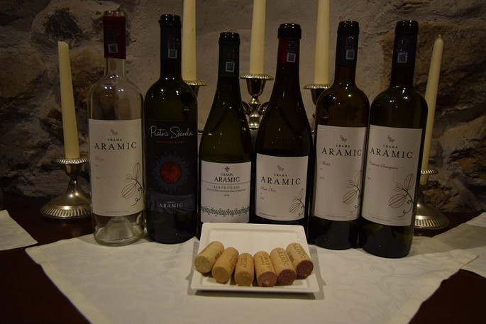 Aramic Wine Cellars, the Buzias - Silagiu vineyard