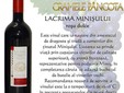 Cantina del vino di Pâncota dal vigneto Miniş - Măderat