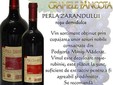 Cantina del vino di Pâncota dal vigneto Miniş - Măderat