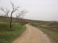 La Cantina di vini La Salina - Transilvania