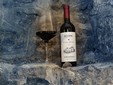 La cantina vinicola Basilescu - il vigneto Dealu Mare