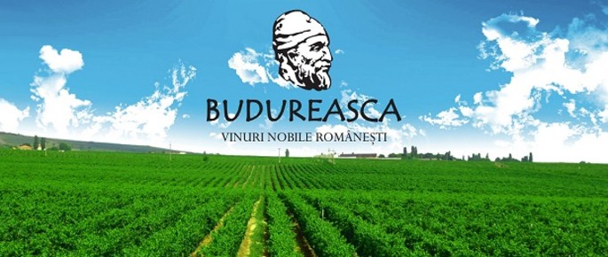 La cantina dei vini Budureasca - Dealu Mare