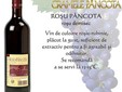 Cantina del vino di Pâncota dal vigneto Miniş - Măderat