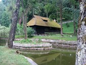 The Tea House of Queen Mary - Bran Castle