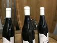 Nachbil Wine Cellar, Transylvania