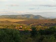 Crastelec Wine Cellar - Şimleul Silvaniei Vineyard