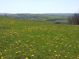 Le colline della Transilvania - destinazioni di ecoturismo della Romania