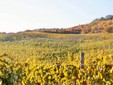 La cantina di Lechburg, Transilvania