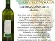 Cantina del vino di Pâncota dal vigneto Miniş - Măderat