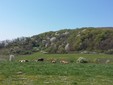 Le colline della Transilvania - destinazioni di ecoturismo della Romania