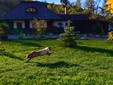 “Casa Mică” - Casa Poveste, Bucovina