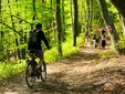 Le colline della Transilvania - destinazioni di ecoturismo della Romania