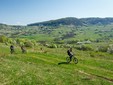 Le colline della Transilvania - destinazioni di ecoturismo della Romania