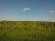 La cantina di vini Anca nel villaggio di Dioseg