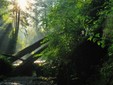 Le colline della Transilvania - destinazioni di ecoturismo della Romania