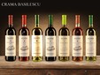 Basilescu Winery - Dealu Mare Vineyard