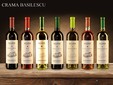 La cantina vinicola Basilescu - il vigneto Dealu Mare