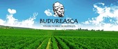 Budureasca Winery - Dealu Mare