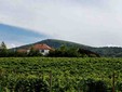La cantina vinicola Domaine Hellburg