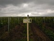 La cantina di vini Anca nel villaggio di Dioseg