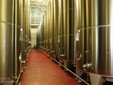 La cantina dei vini di Jidvei - Transilvania