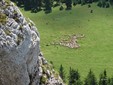 Bicaz Gorge in the Eastern Carpathians