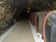 Telna Wine cellar - Transylvania
