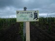 La cantina di vini Anca nel villaggio di Dioseg