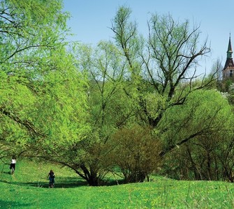 The Transylvania’s Hills - ecotourism destinations in Romania The Transylvania’s Hills - ecotourism destinations in Romania