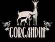 Cantina Gorgandin - Transilvania