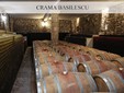 La cantina vinicola Basilescu - il vigneto Dealu Mare