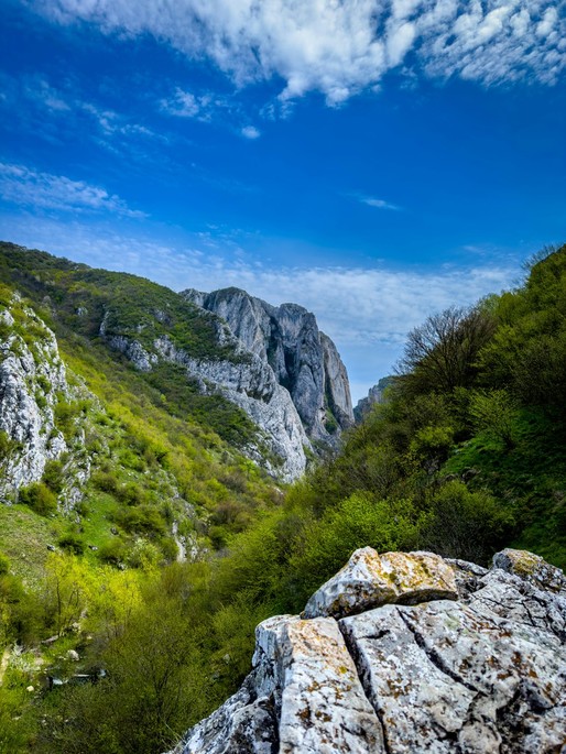 Cheile Turzii