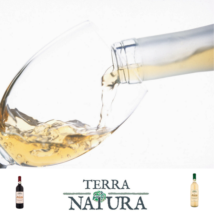 Terra Natura wine Cellar