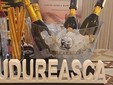 La cantina dei vini Budureasca - Dealu Mare